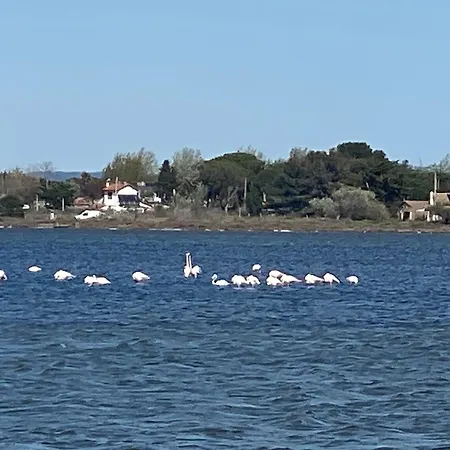 Mazet Nimisa Feriehus *