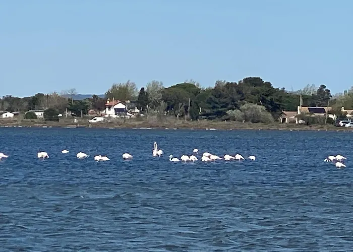 Mazet Nimisa Casa vacanze *